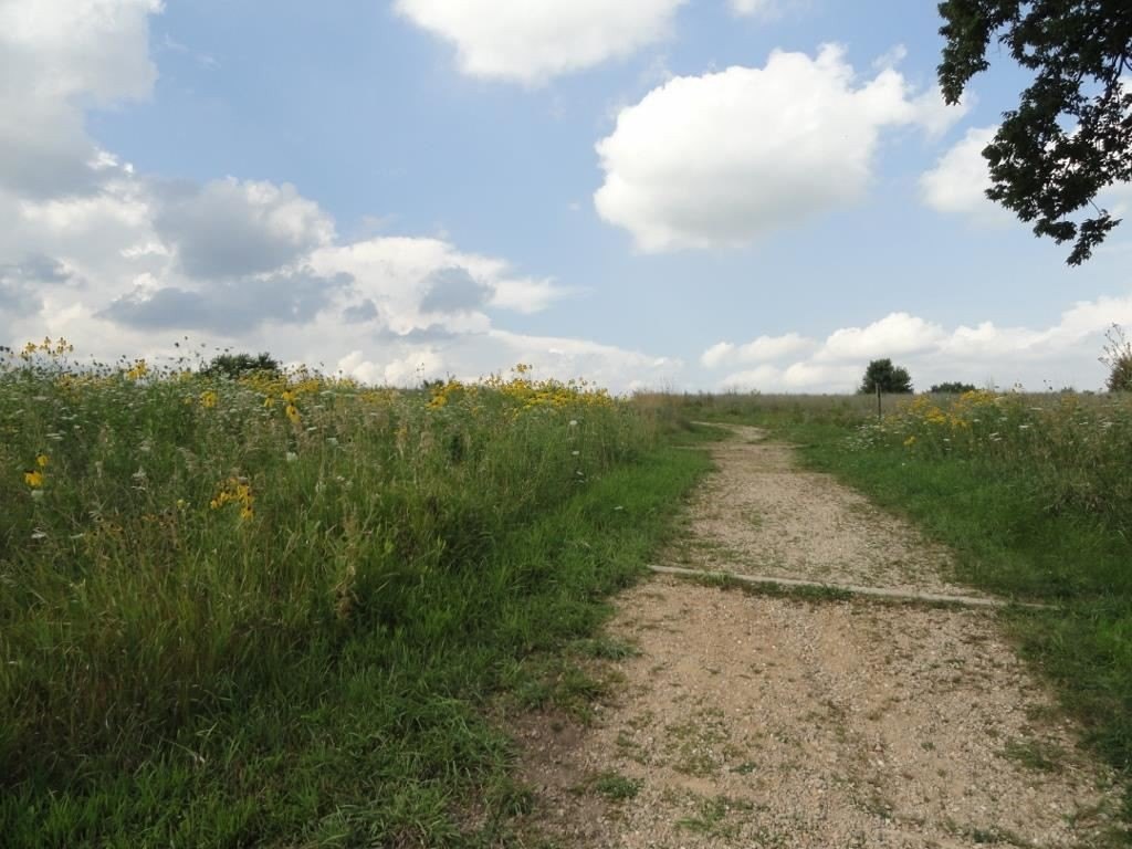 Picture 18