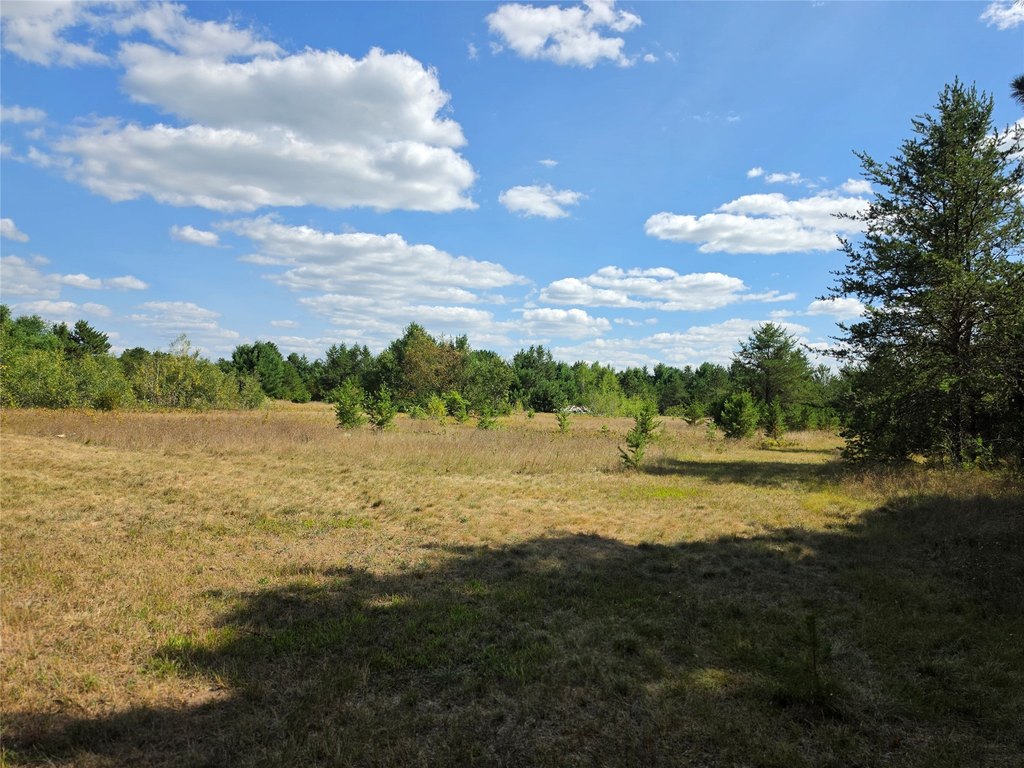 Picture 8