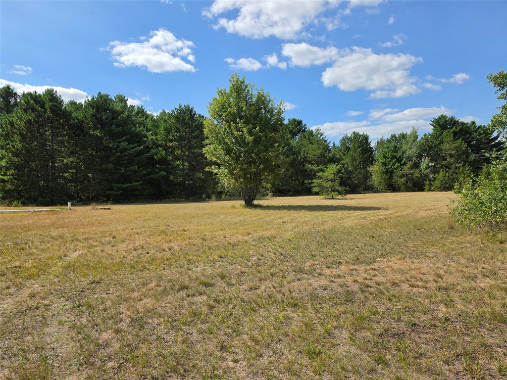 Picture 28