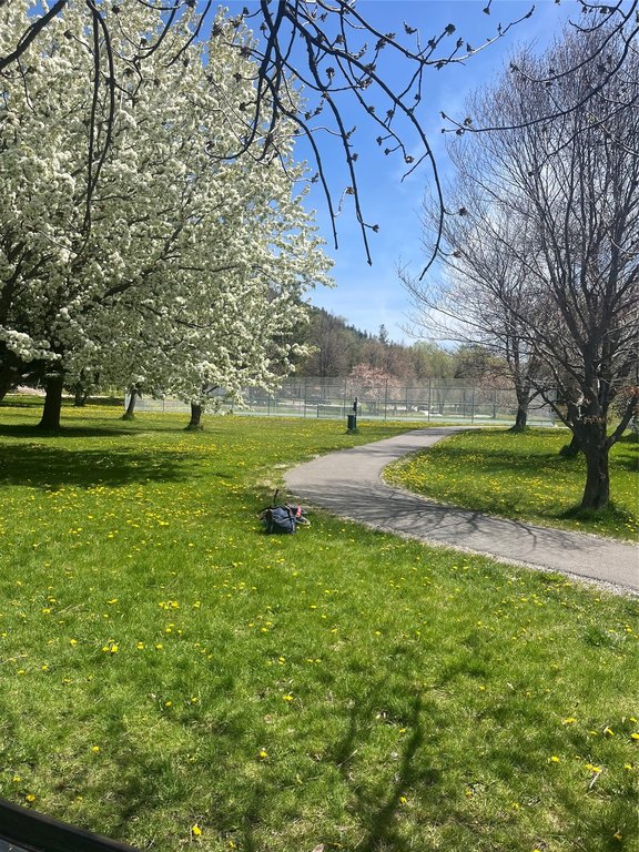 Picture 13