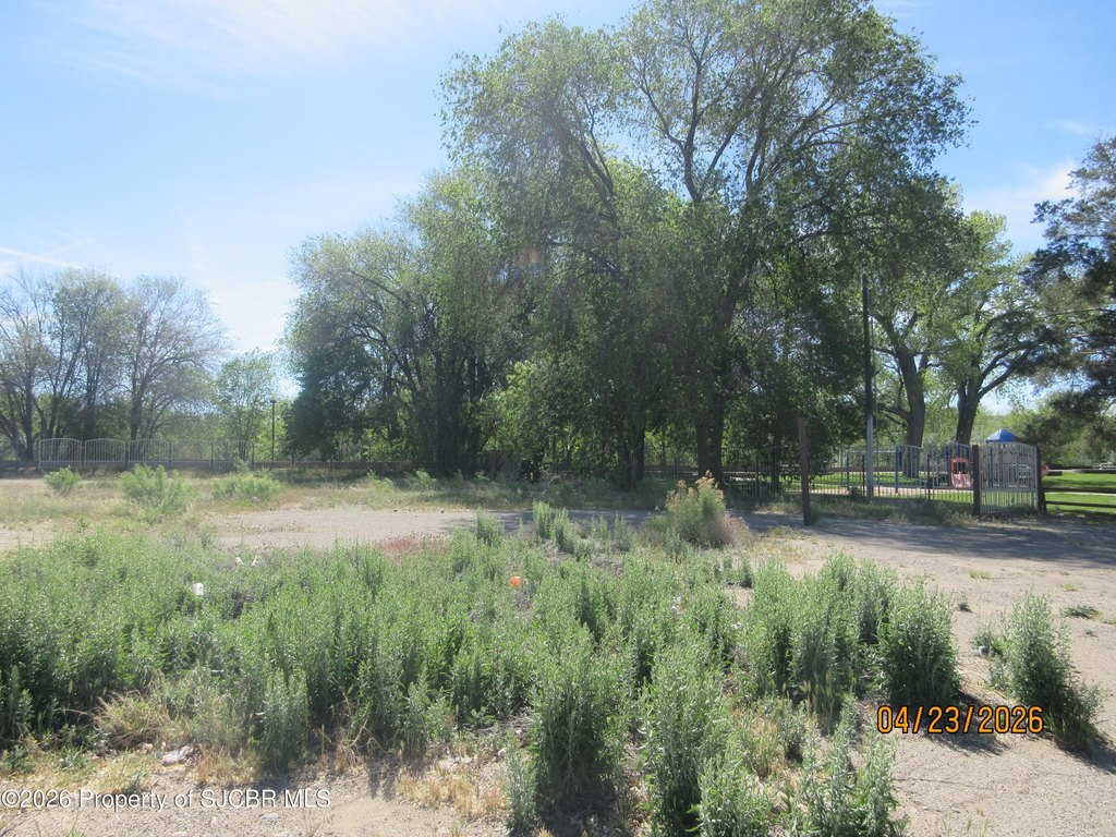 Picture 6
