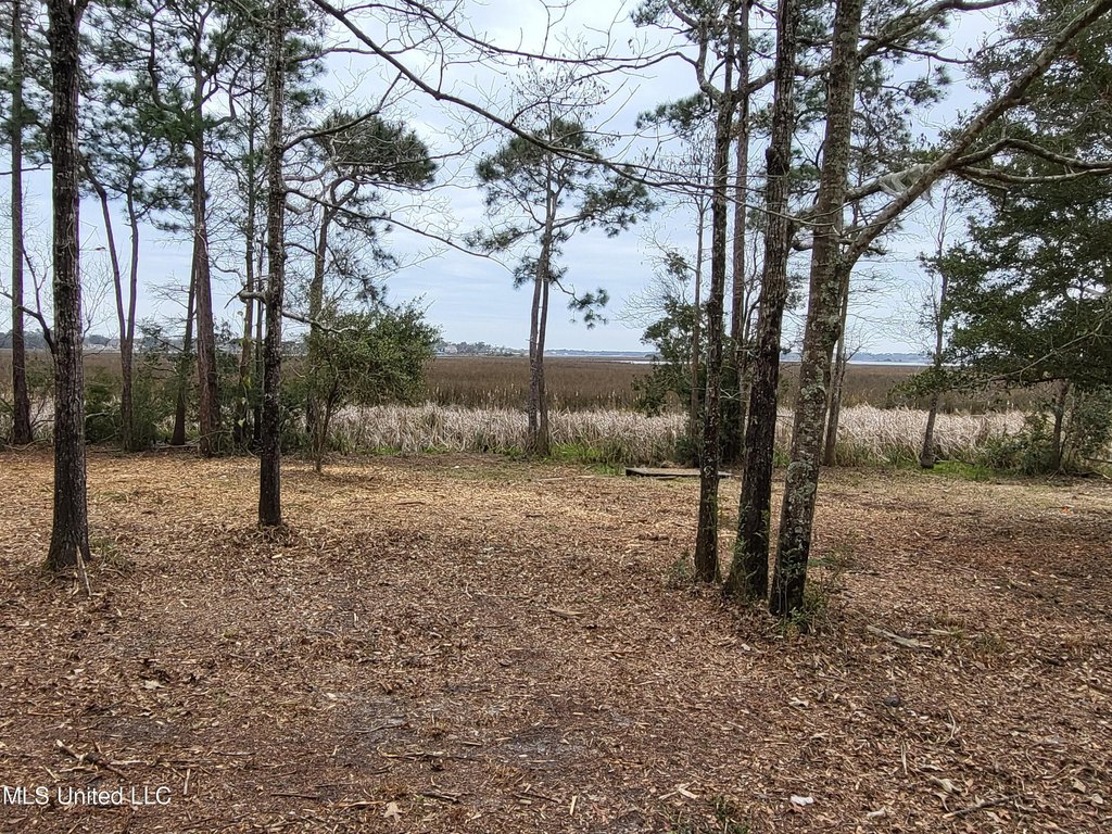 Picture 4