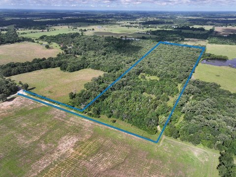 Eustace, TX Wooded Acreage