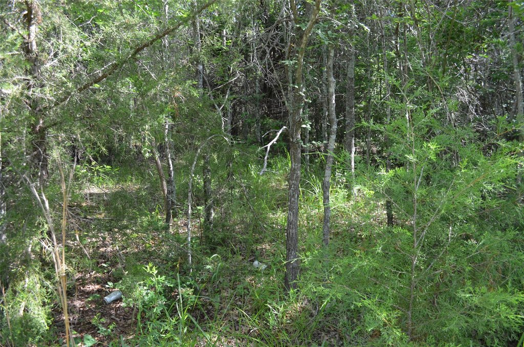 Picture 19
