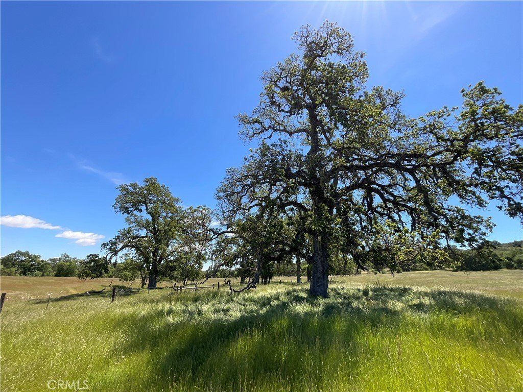 Land in South Monterey County