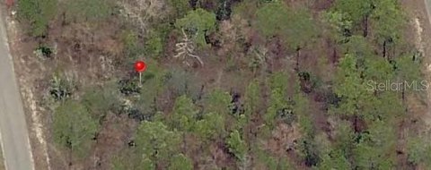 Land, OCKLAWAHA, FL