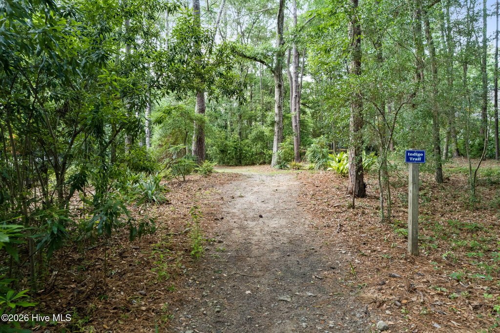 Picture 13