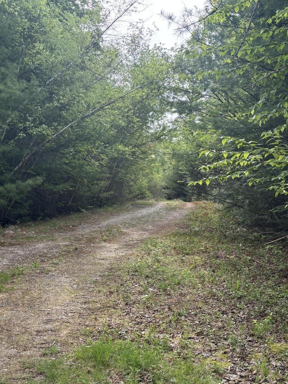 Picture 4