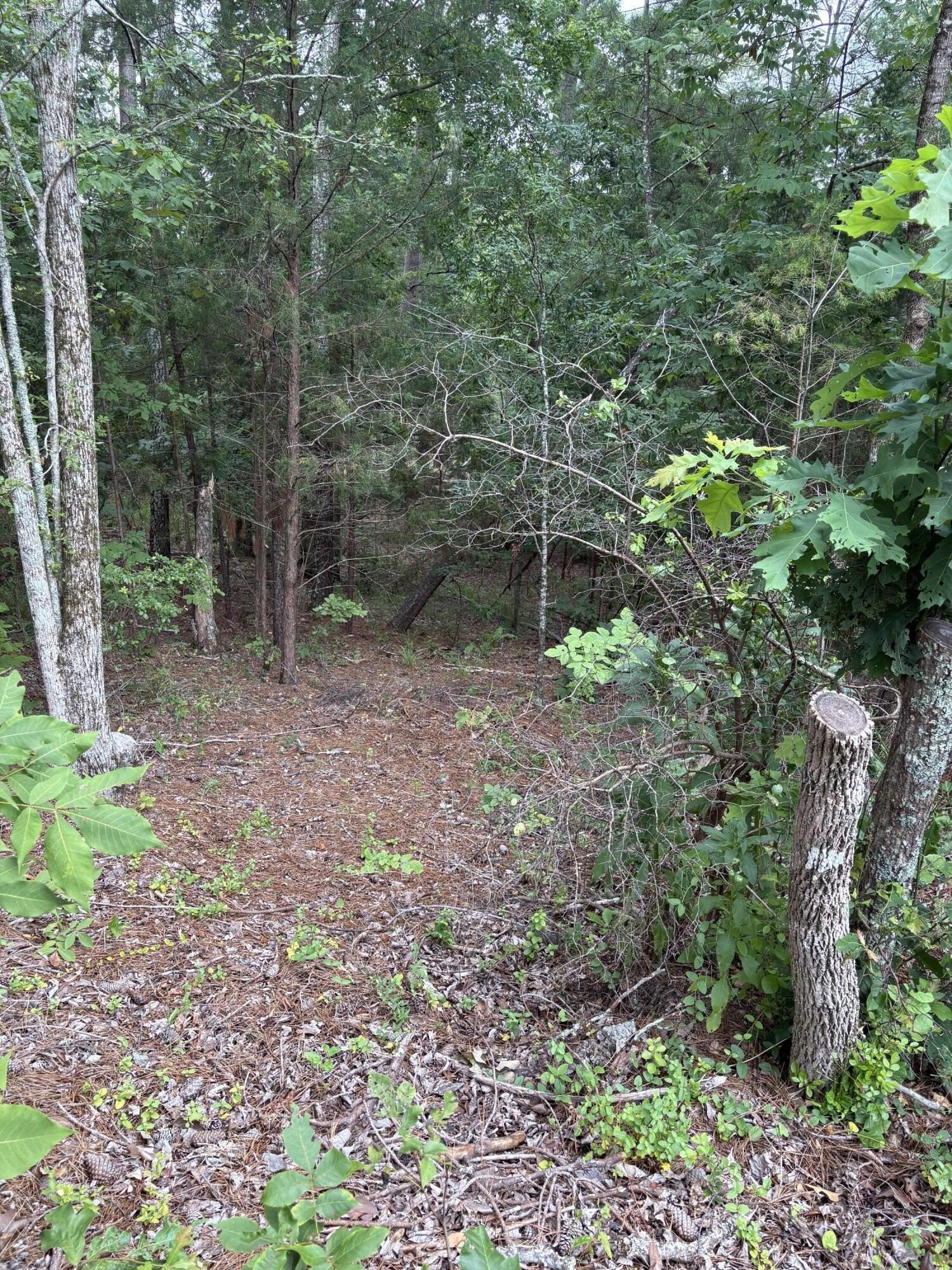 Residential Lot in Active Community