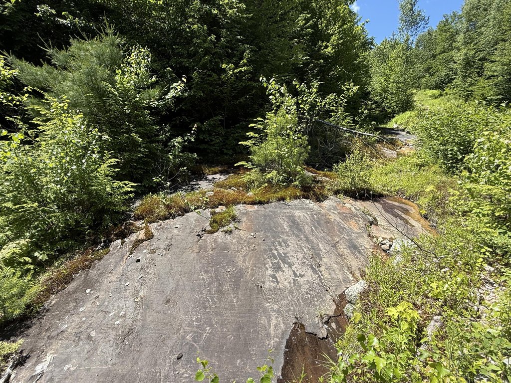 Picture 29