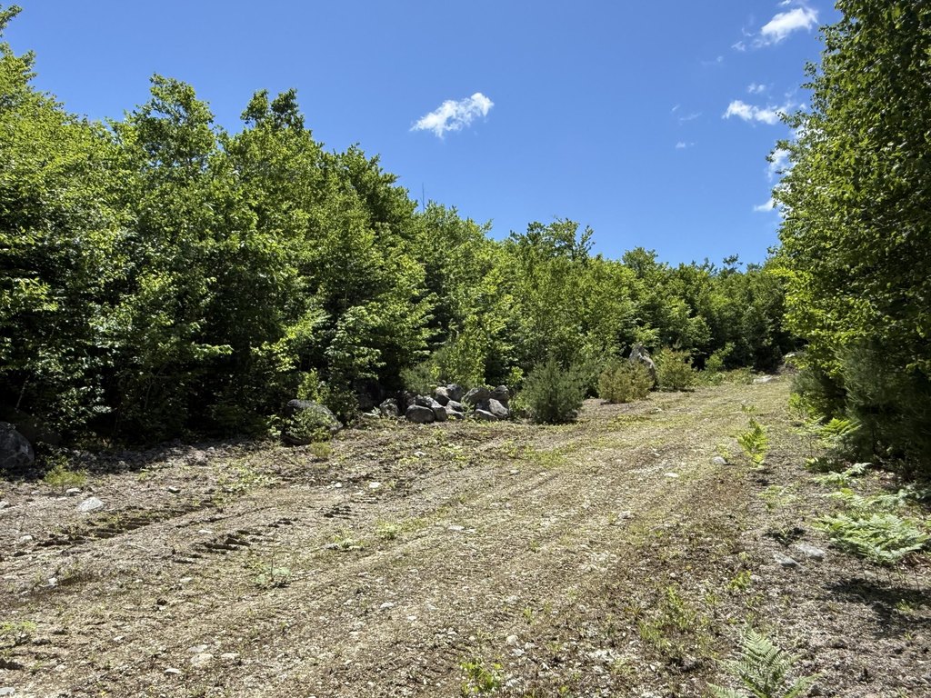 Picture 30