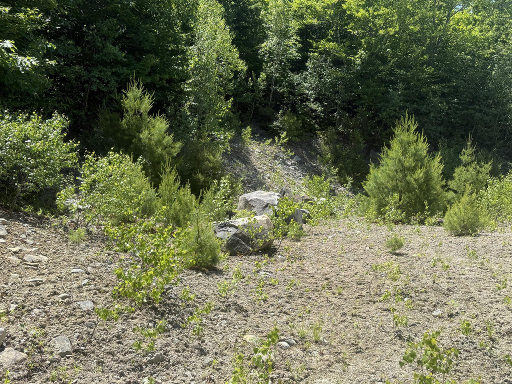 Picture 35