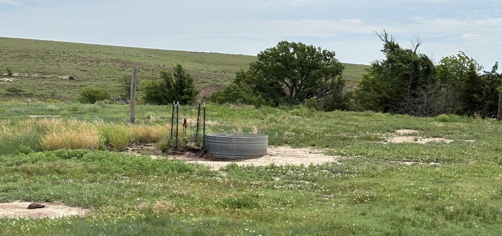 Picture 38