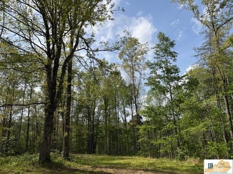Woodland Hunting Land Near Park