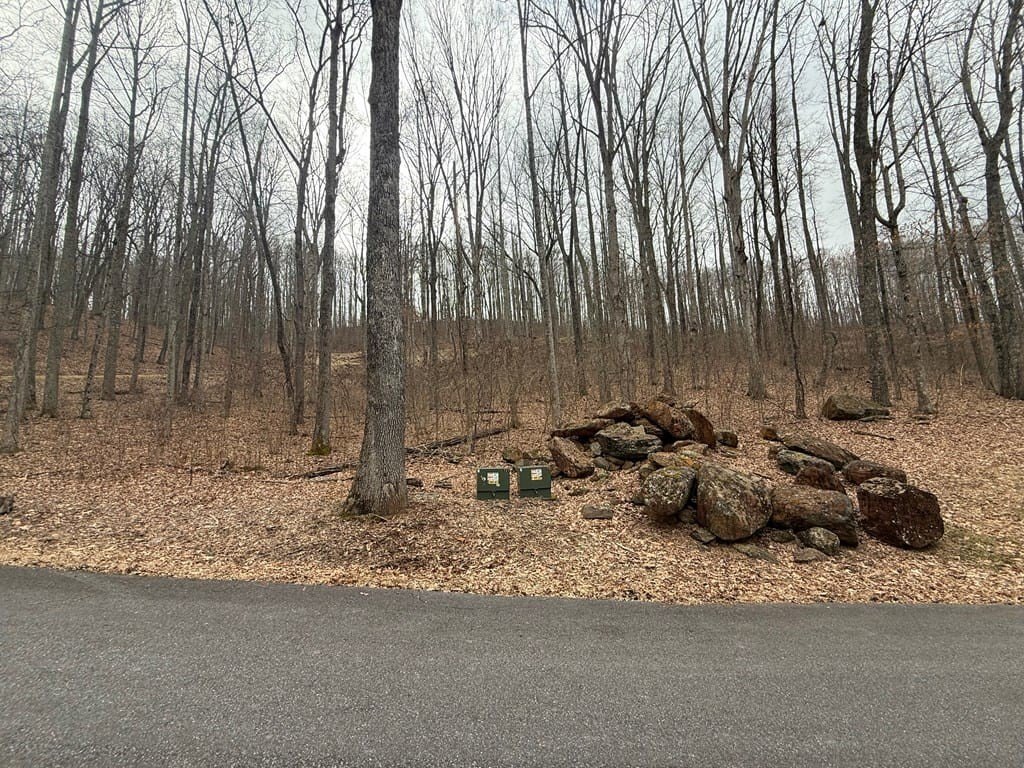 Picture 5