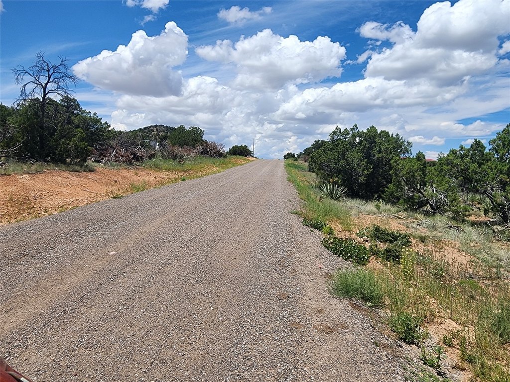 Picture 42