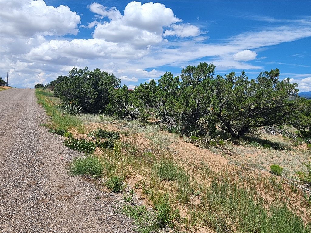 Picture 24