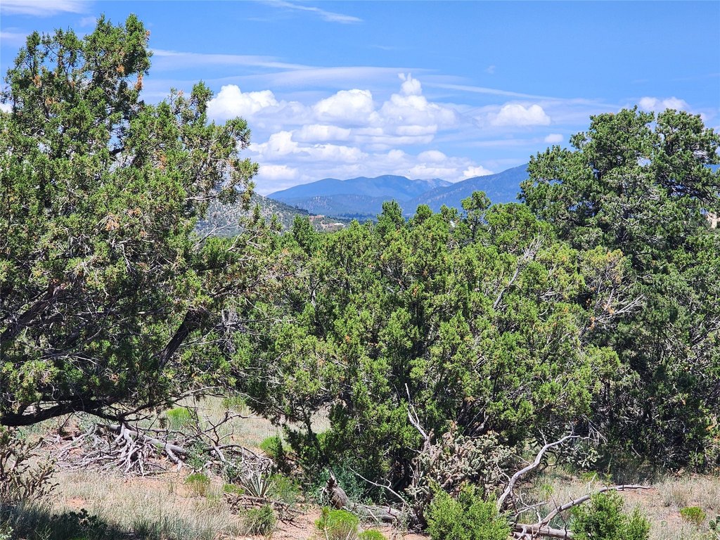 Picture 44