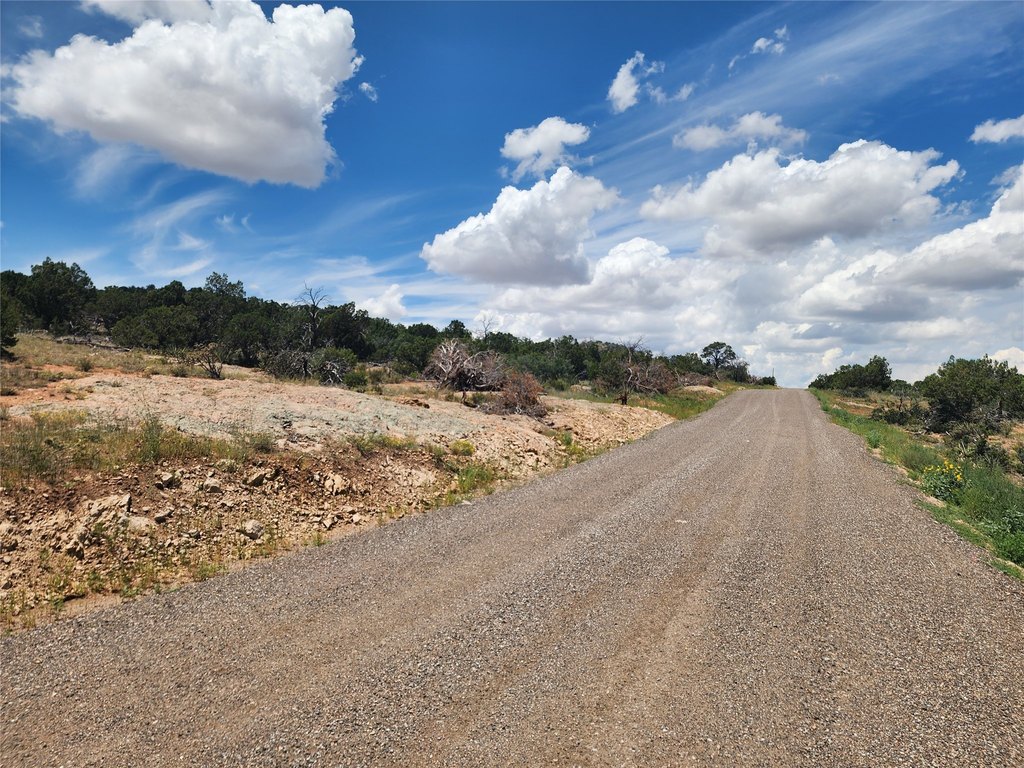 Picture 38