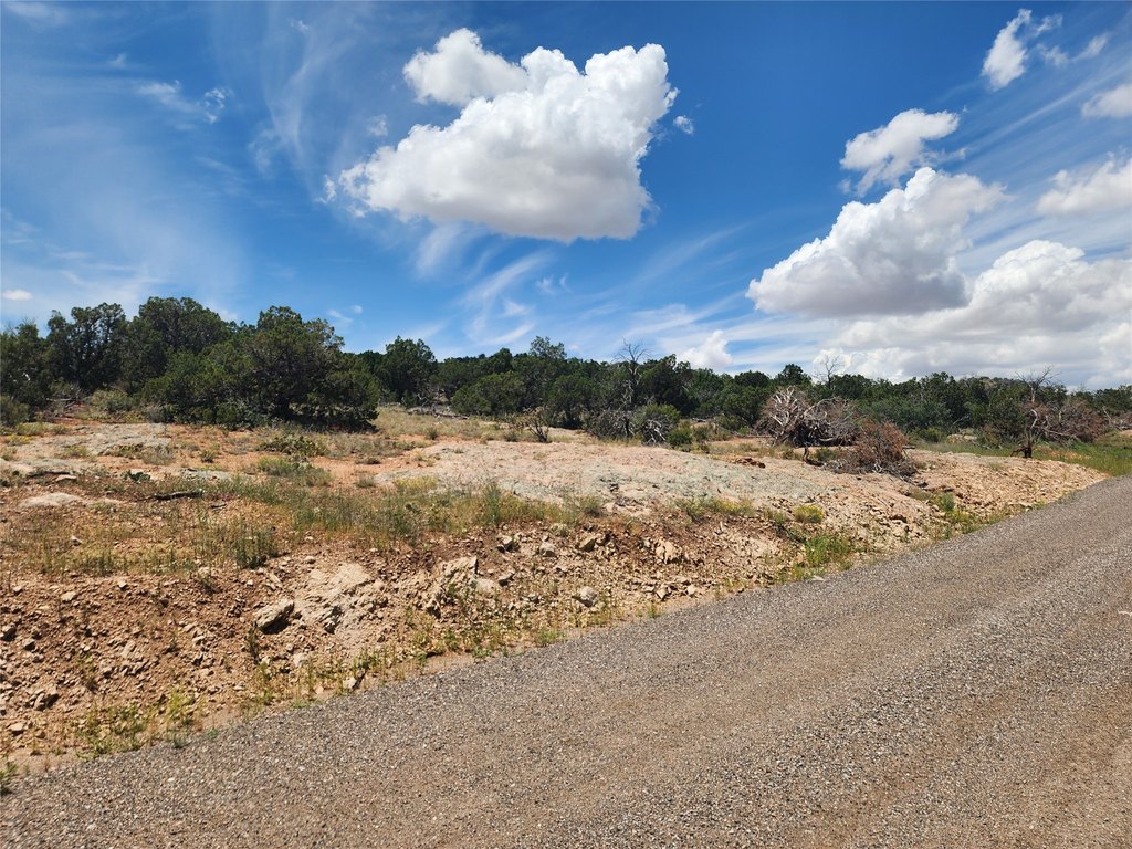 Picture 20