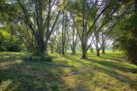 Fayette County Hobby Farm Land