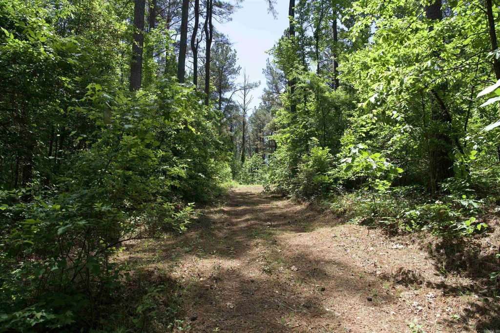 Picture 31