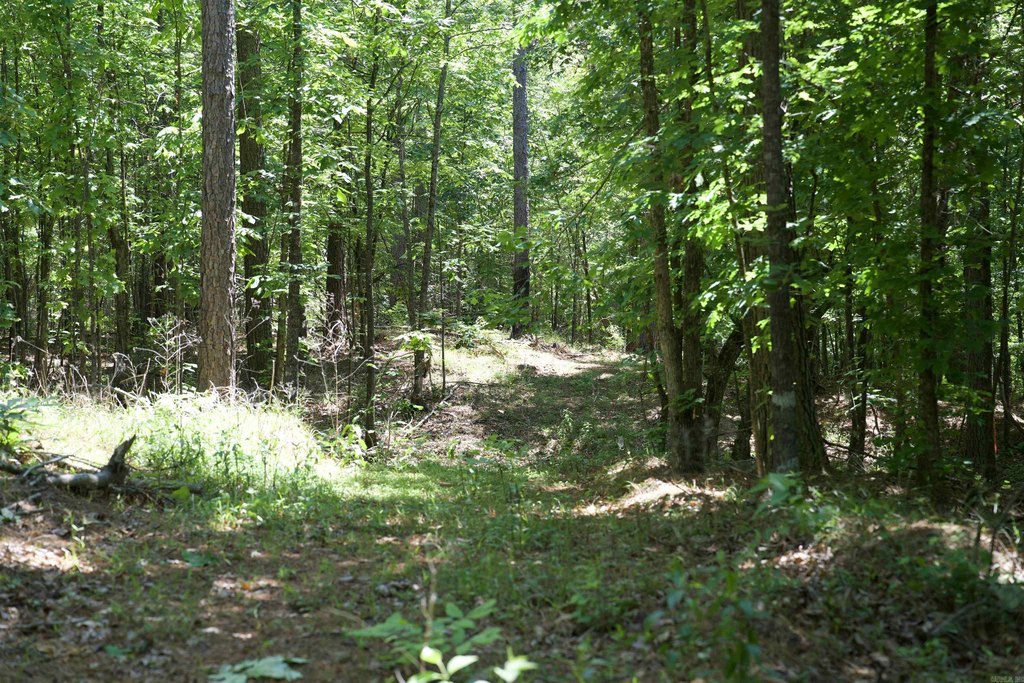Picture 23