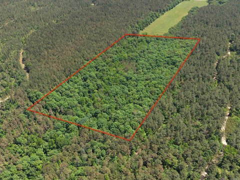 20 Acres Hunting/Recreation Land Langley