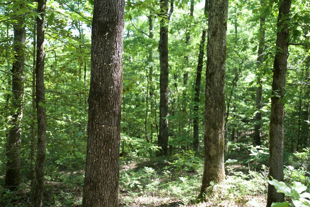 Picture 11