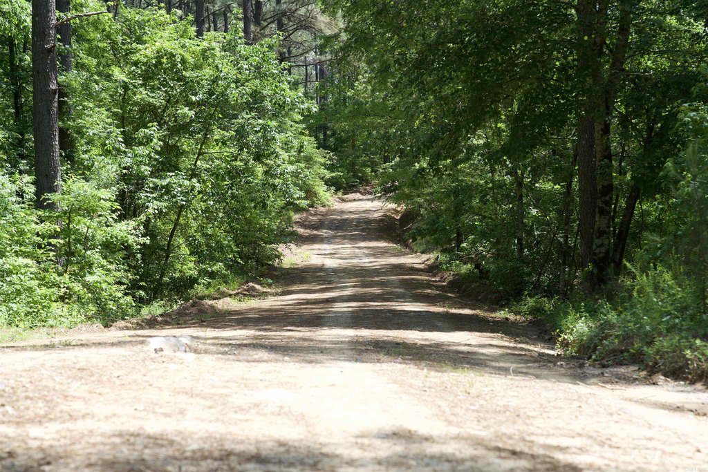Picture 32
