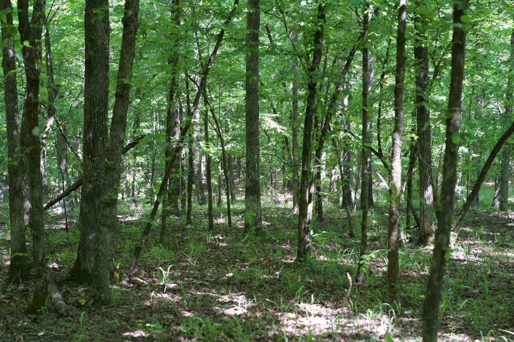 Picture 16