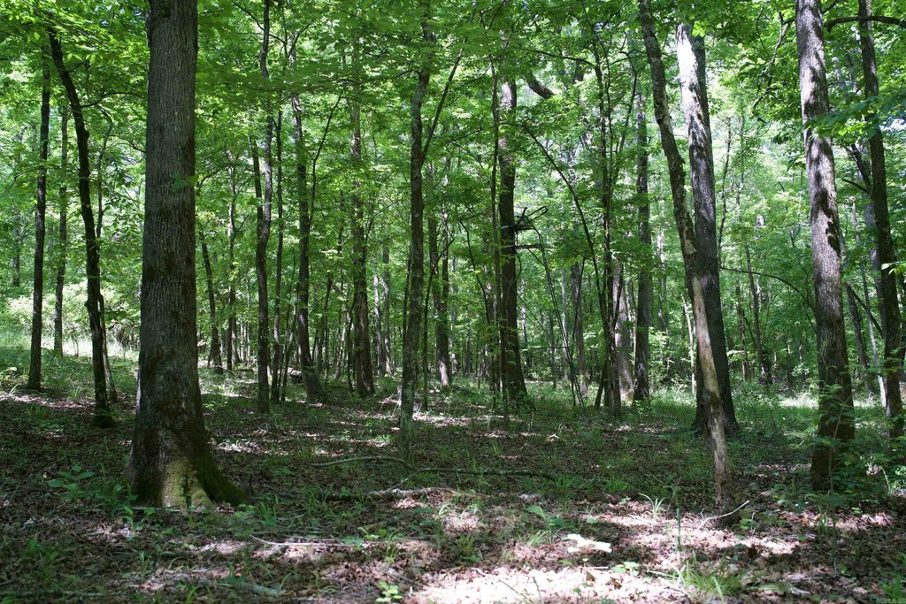 Picture 20