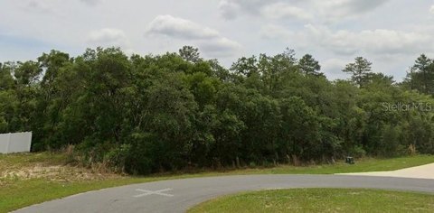 Expansive Vacant Lot in Ocala