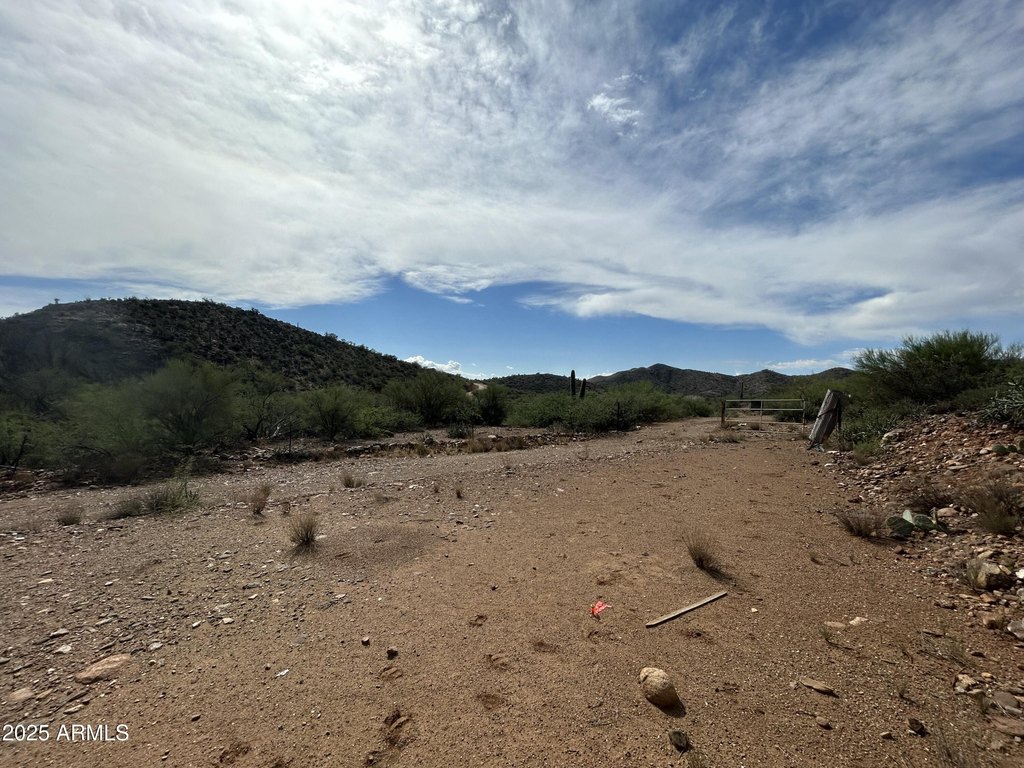 Picture 10