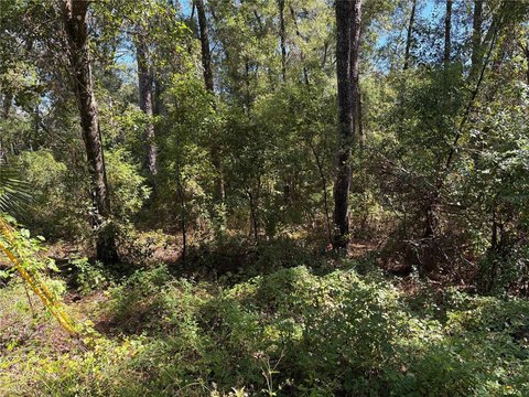 Residential Lot for Custom Home