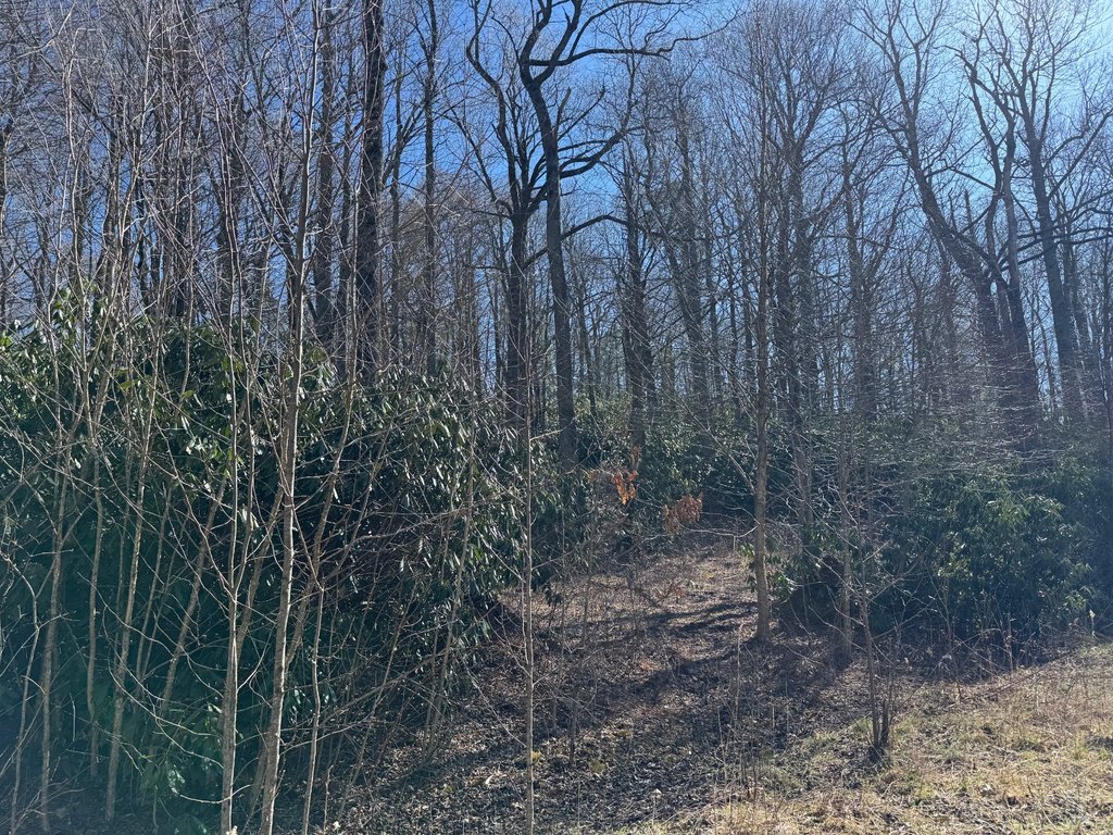 Picture 6