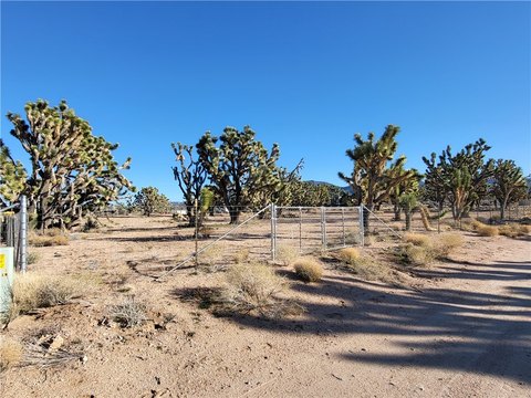 Meadview, AZ Horse Property Land