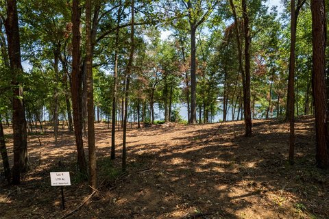 Waterfront Land with Wide Lake Views