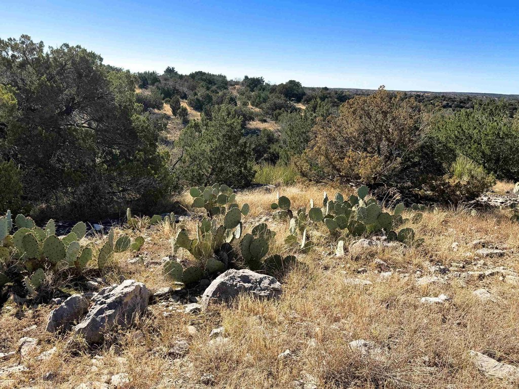 Picture 26