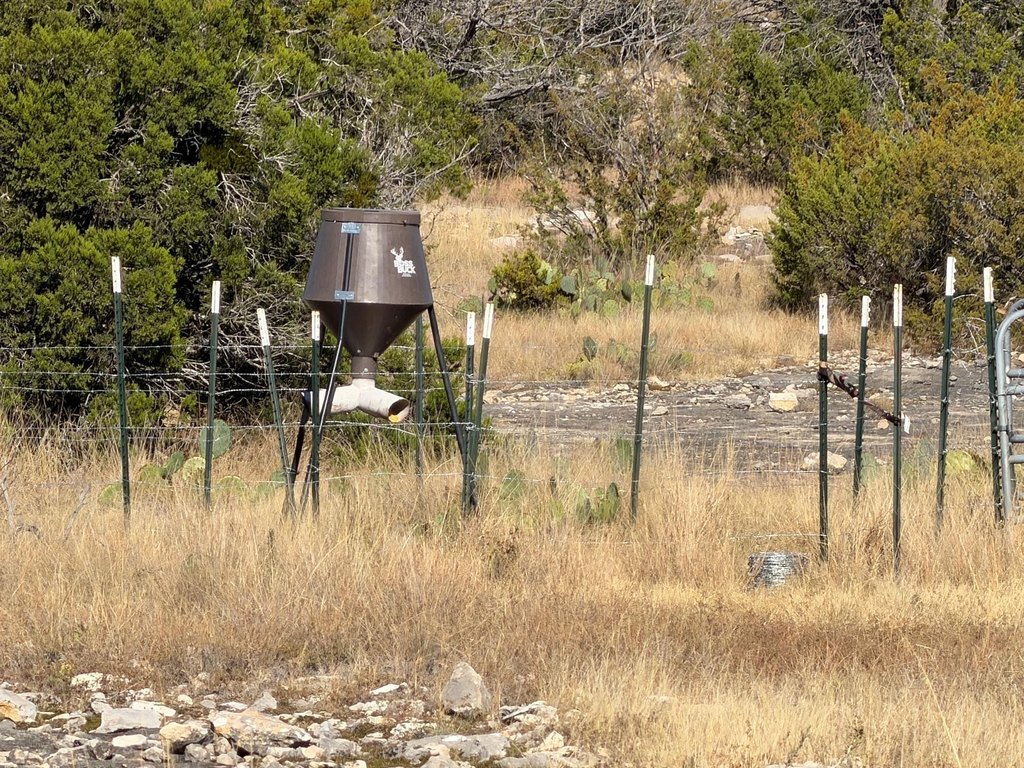 Picture 17