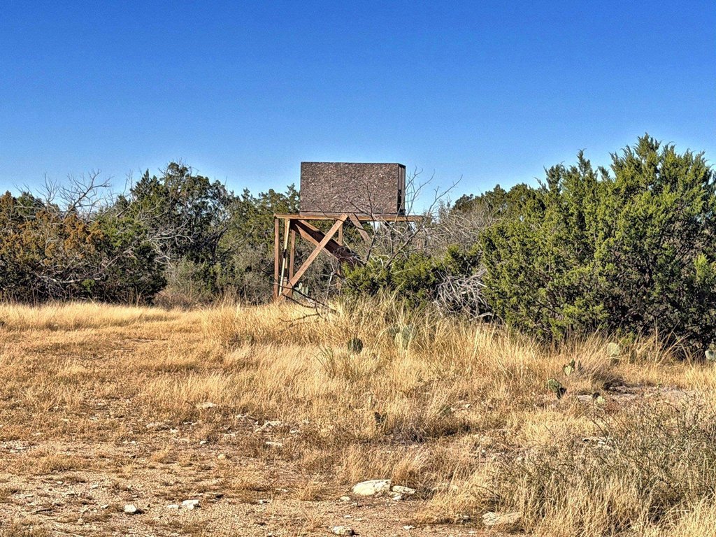 Picture 21