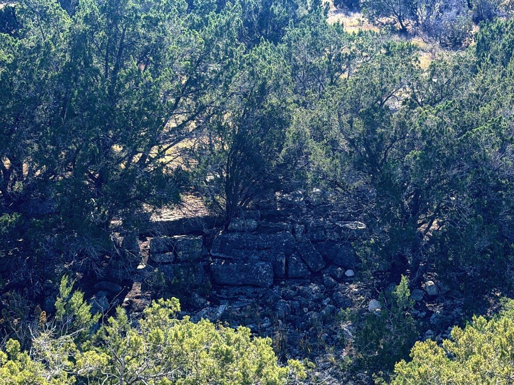 Picture 31