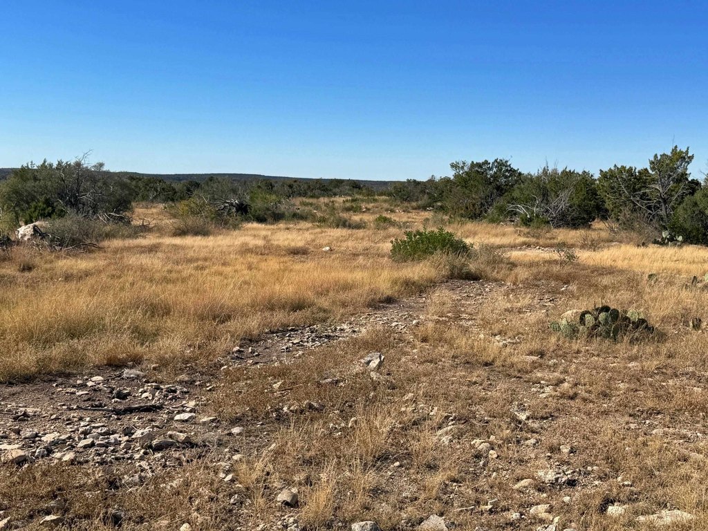 Picture 19