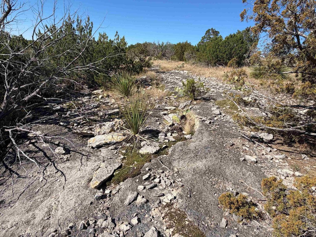 Picture 28