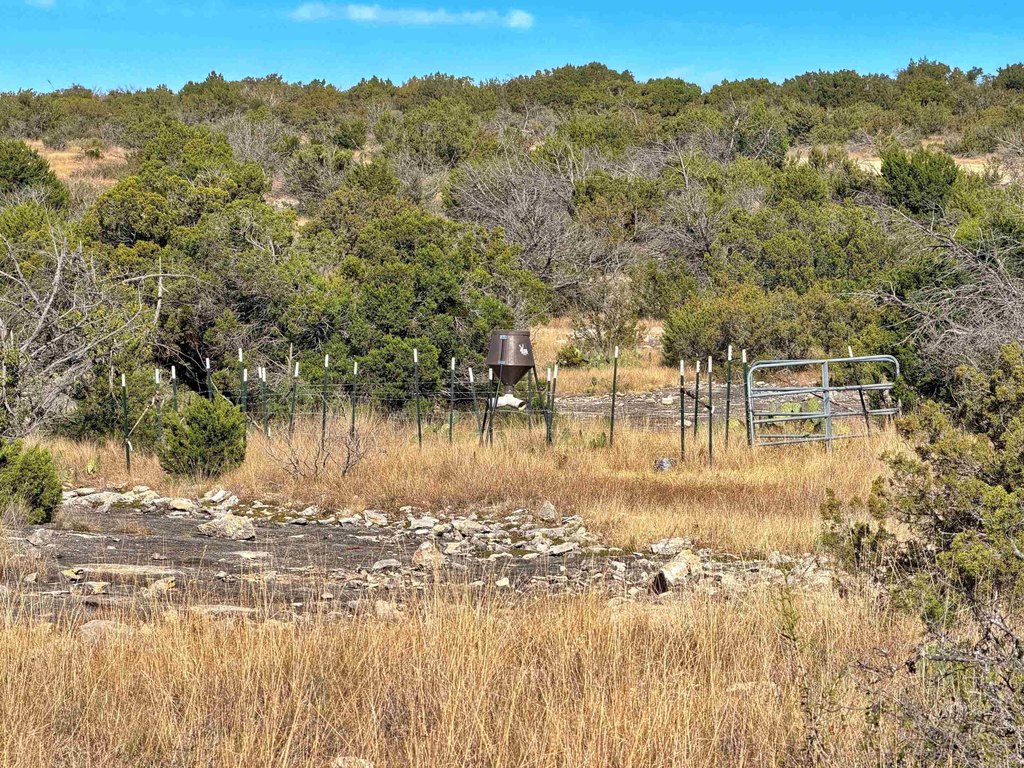 Picture 16