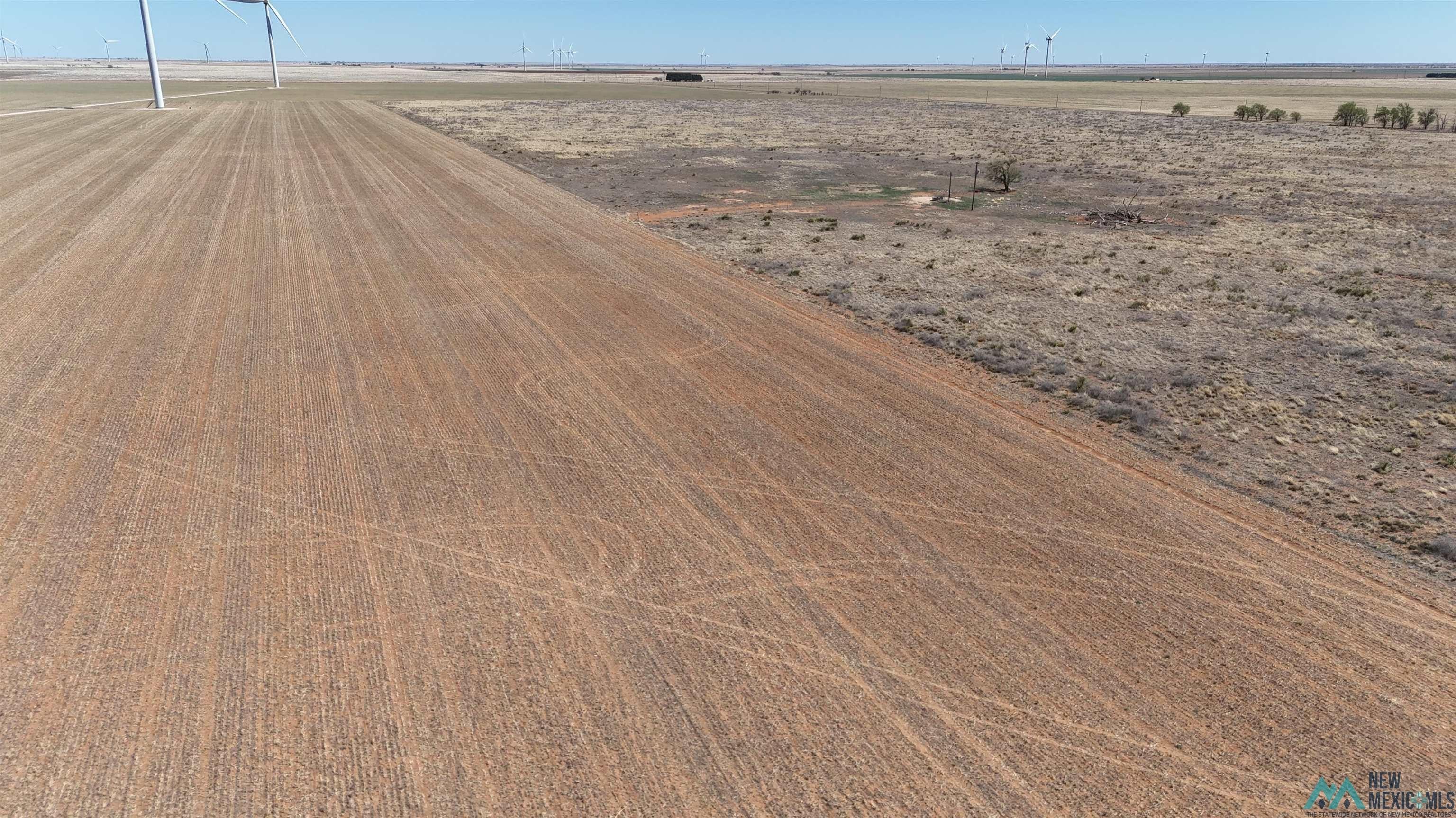 Causey, NM Land For Sale
