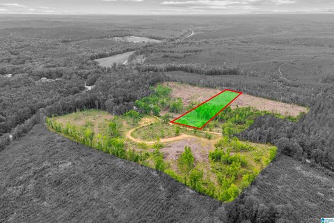 Unzoned Wooded Homesite Acreage