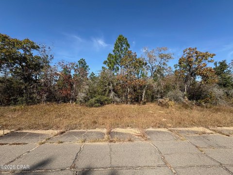 Land For Sale in Chipley
