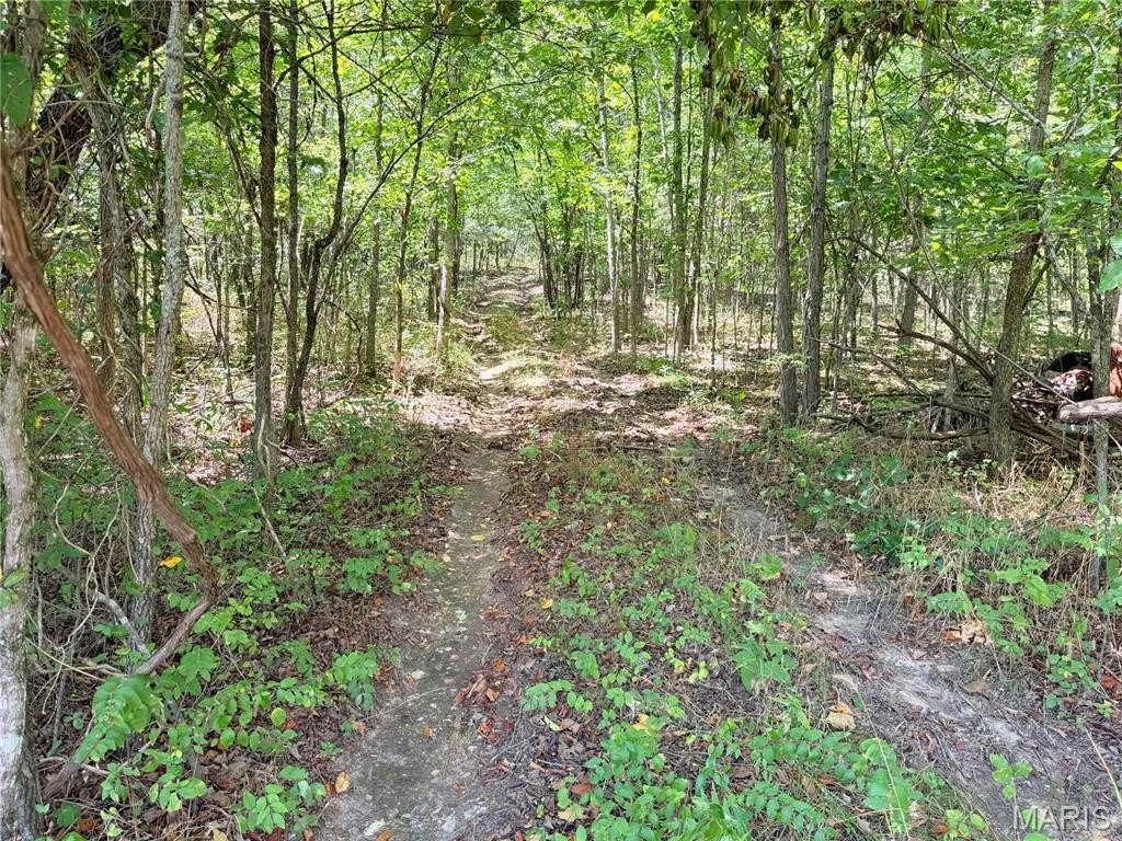 Picture 25