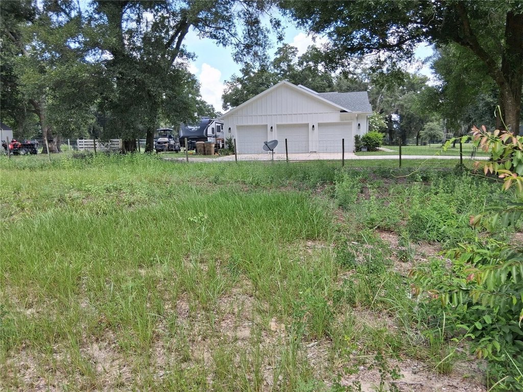 Picture 11